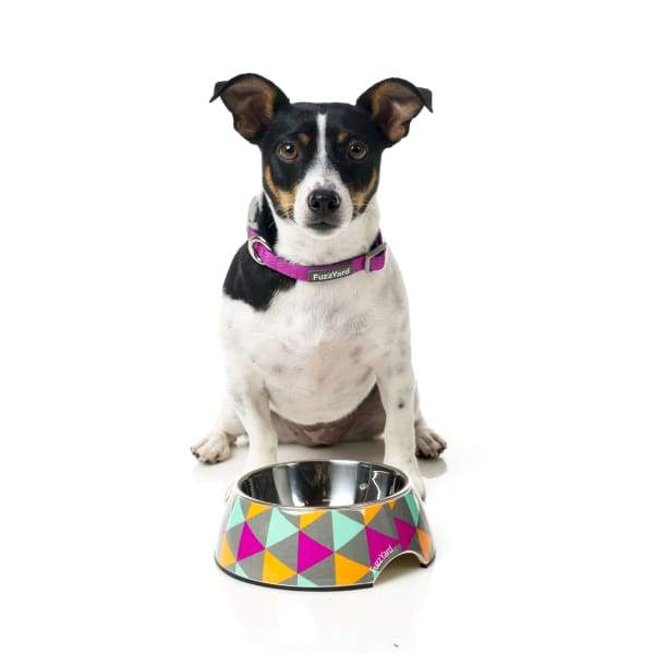 Fuzzyard [15% OFF] Fuzzyard Pop Easy Feeder Dog Bowl (3 Sizes) Dog Accessories