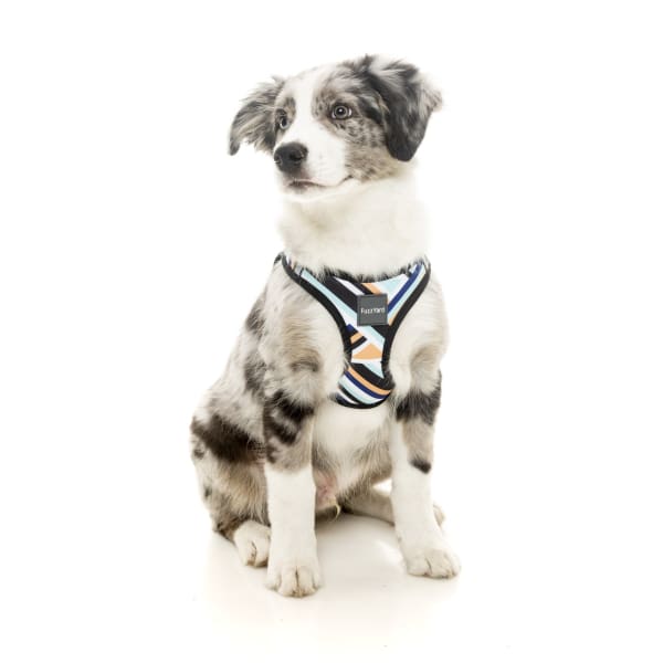 Fuzzyard [15% OFF] Fuzzyard Sonic Dog Step-in Harness (5 Sizes) General