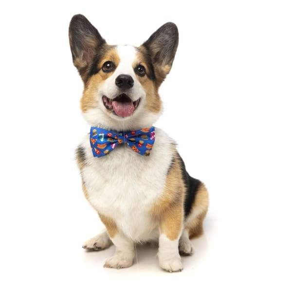 Fuzzyard [15% OFF] Fuzzyard Supersize Me Pet Bow Tie (2 Sizes) Dog Accessories