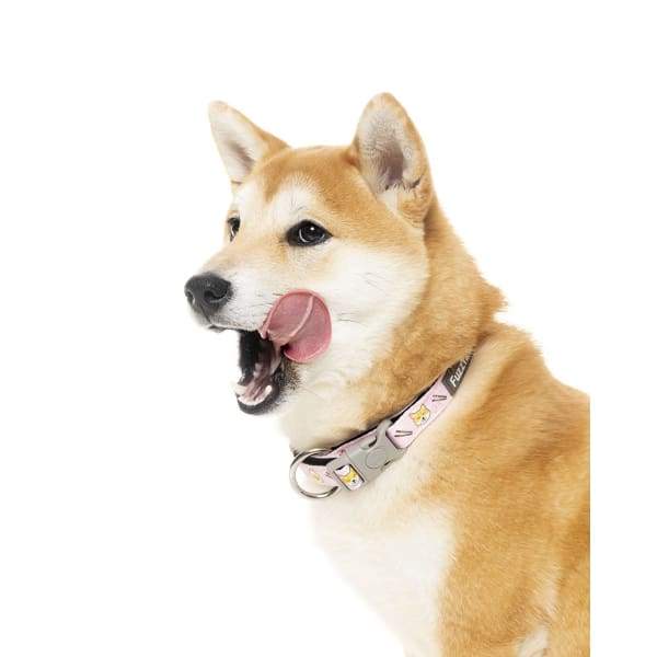 Fuzzyard [15% OFF] Fuzzyard Sushiba Dog Collar (3 Sizes) General