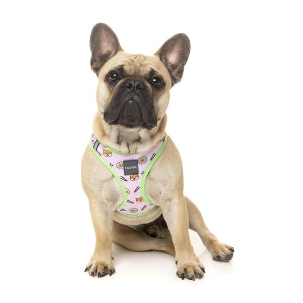 Fuzzyard [15% OFF] Fuzzyard Sushiba Dog Step-in Harness (5 Sizes) General