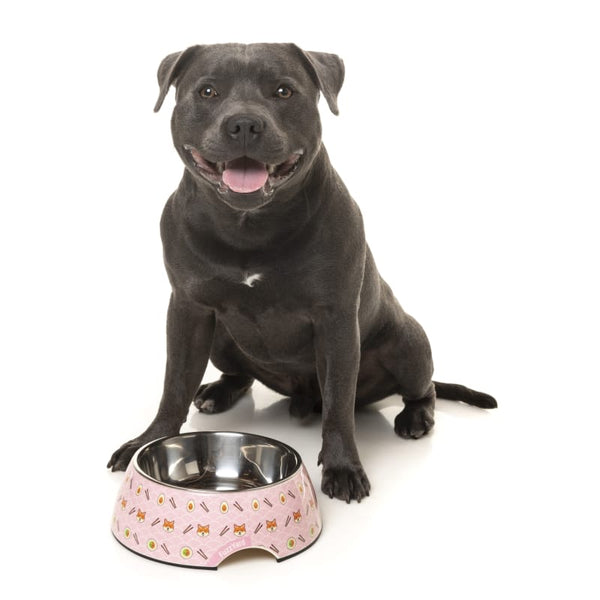 Fuzzyard [15% OFF] Fuzzyard Sushiba Easy Feeder Dog Bowl (3 Sizes) Dog Accessories