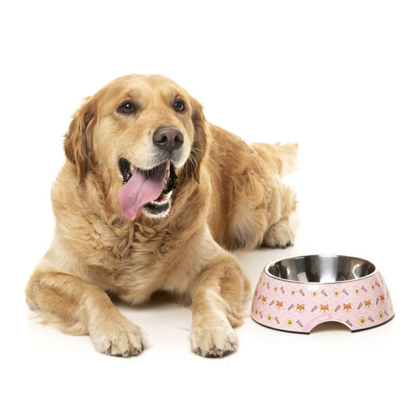 Fuzzyard [15% OFF] Fuzzyard Sushiba Easy Feeder Dog Bowl (3 Sizes) Dog Accessories