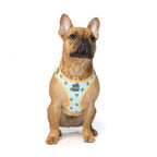 Fuzzyard [15% OFF] Fuzzyard Tucson Dog Step-in Harness (5 Sizes) General
