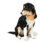 Fuzzyard [15% OFF] Fuzzyard Tucson Pet Bandana (2 Sizes) Dog Accessories