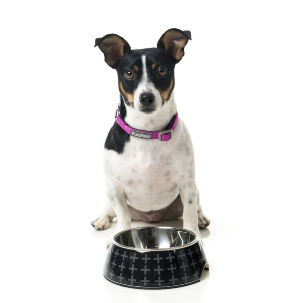 Fuzzyard [15% OFF] Fuzzyard Yeezy Easy Feeder Dog Bowl (3 Sizes) Dog Accessories