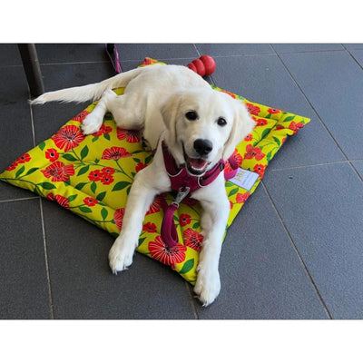 Henry Hottie Henry Hottie Cafe Mat Series for Dogs Dog Accessories