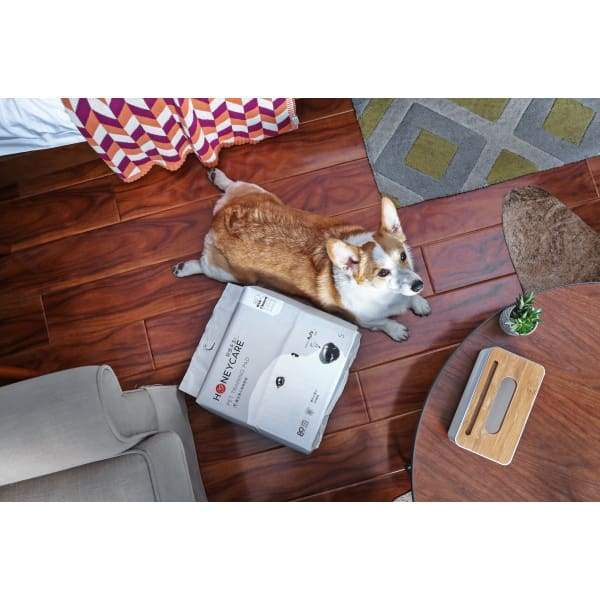 Honey Care [Buy 2 Free 1] Honey Care Pet Training Pee Pad Grooming & Hygiene