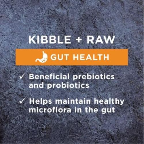 Instinct Instinct Raw Boost Grain-free Kibble Gut Health Recipe Dry Dog Food (2 Sizes) Dog Food & Treats