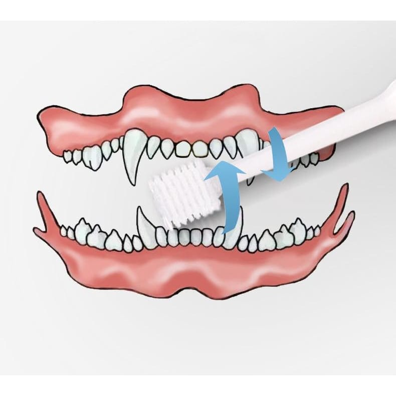 Kojima Kojima 360°C Roll Soft Pet Toothbrush Grooming & Hygiene