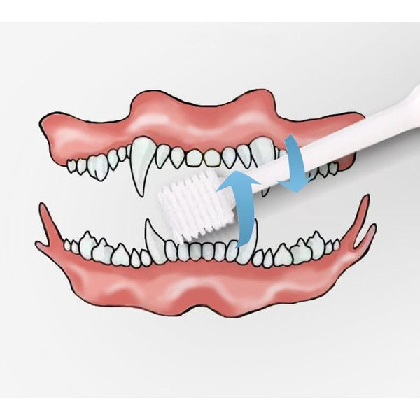 Kojima Kojima 360°C Roll Soft Pet Toothbrush Grooming & Hygiene