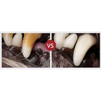 Kojima Kojima Dog Teeth Cleaning Kit Dog Accessories