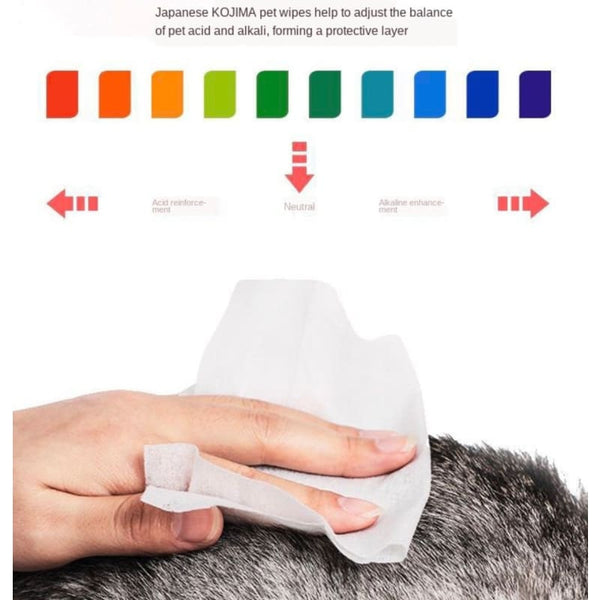 Kojima [3 FOR $11] Kojima Fruity Dog & Cat Wipes 80pcs Dog Accessories