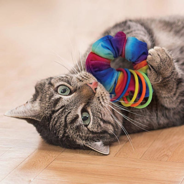 KONG [20% OFF] KONG Active Scrunchie Cat Toy Cat Accessories