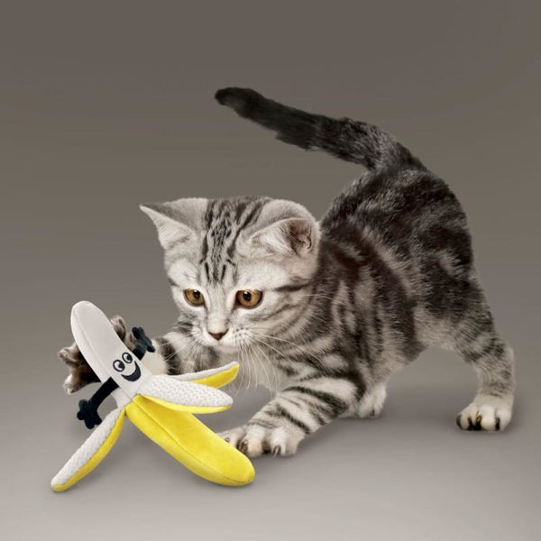 KONG [20% OFF] KONG Better Buzz Banana Cat Toy Cat Accessories