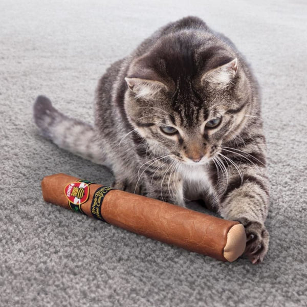 KONG [20% OFF] KONG Better Buzz Cigar Cat Toy Cat Accessories