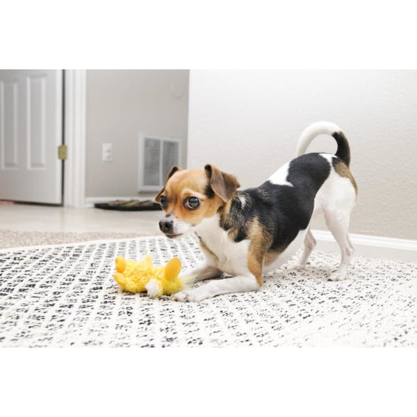 KONG [20% OFF] KONG Dr. Noyz Duck Dog Toy Dog Accessories