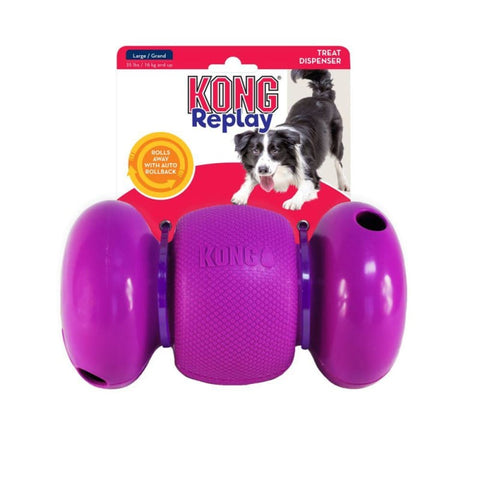 KONG [20% OFF] KONG Replay Dog Toy (2 Sizes) Dog Accessories