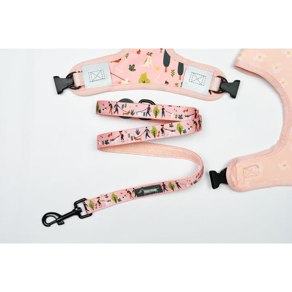 Moo + Twig [15% OFF] Moo + Twig Dog People Reversible Dog Leash Dog Accessories