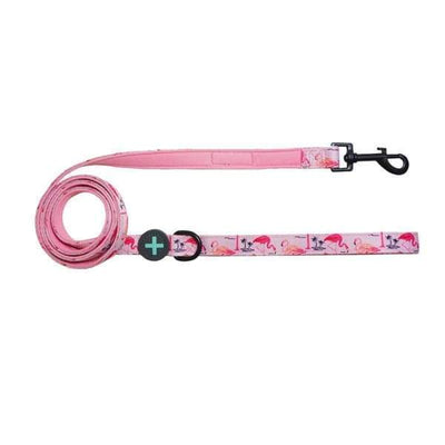 Moo + Twig [Expo 20% OFF] Moo + Twig Flock Yeah Dog Leash Dog Accessories