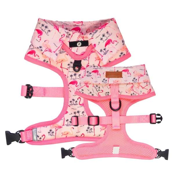 Moo + Twig Moo + Twig Flock Yeah Shirt Harness Dog Accessories