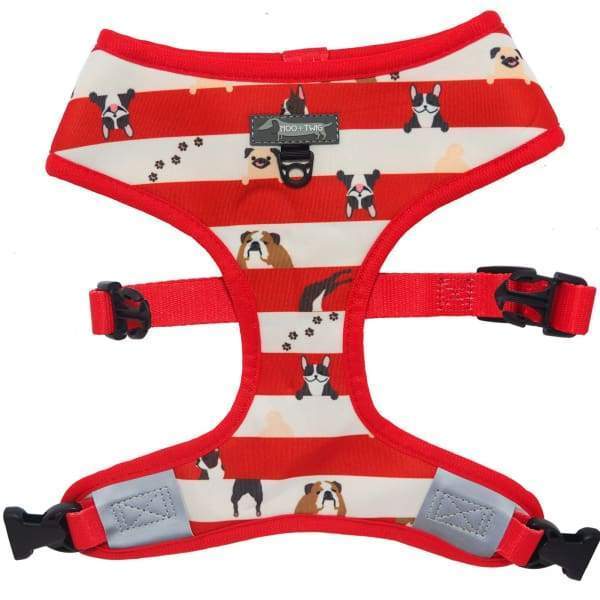 Moo + Twig Moo + Twig Peek A Crew Reversible Harness Dog Accessories