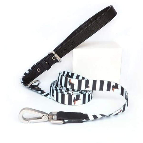 Moo + Twig [15% OFF] Moo + Twig Vegan Leather The Frankie Dog Leash Dog Accessories