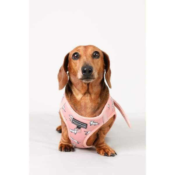 Moo + Twig [15% OFF] Moo + Twig Vegan Leather Step in Harness The Twiggy Blush Dog Accessories