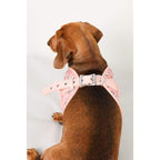 Moo + Twig [15% OFF] Moo + Twig Vegan Leather Step in Harness The Twiggy Blush Dog Accessories