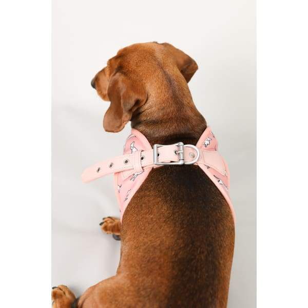 Moo + Twig [15% OFF] Moo + Twig Vegan Leather Step in Harness The Twiggy Blush Dog Accessories