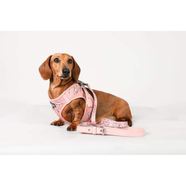 Moo + Twig [15% OFF] Moo + Twig Vegan Leather Step in Harness The Twiggy Blush Dog Accessories