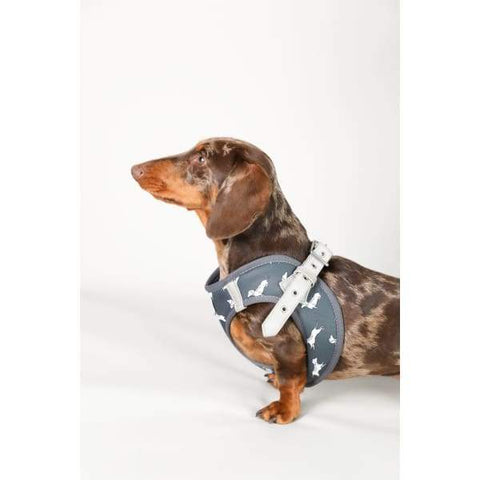 Moo + Twig [15% OFF] Moo + Twig Vegan Leather Step in Harness The Twiggy Charcoal Dog Accessories