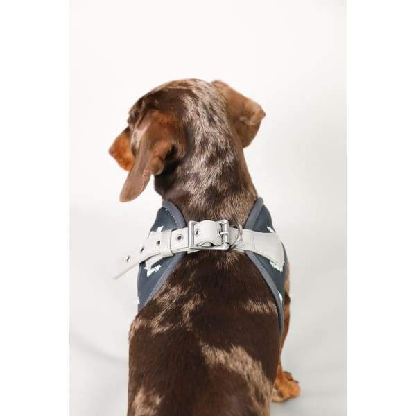 Moo + Twig [15% OFF] Moo + Twig Vegan Leather Step in Harness The Twiggy Charcoal Dog Accessories