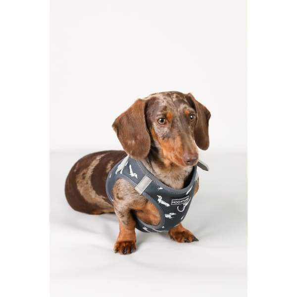 Moo + Twig [15% OFF] Moo + Twig Vegan Leather Step in Harness The Twiggy Charcoal Dog Accessories