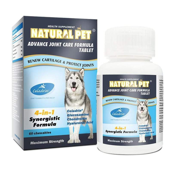 Natural Pet [15% OFF] Natural Pet Advance Joint Care Formula 60 Tablet / Liquid 300ml Dog Healthcare