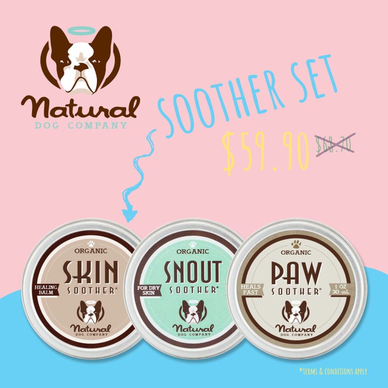 Natural Dog Company [WRINKLE & SNOUT SET $39.90] Natural Dog Company Snout Soother Organic Healing Balm (3 sizes) Dog Healthcare