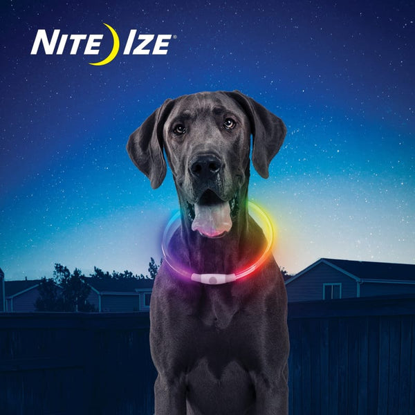 Nite Ize Nite Ize Disc-O Select Rechargeable LED Safety Necklace Dog Accessories