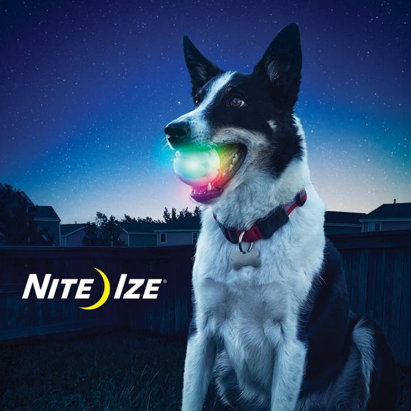 Nite Ize Nite Ize Glowstreak Waterproof Rubber Ball Motion-Acitivated LED Fetch Dog Toy Dog Accessories