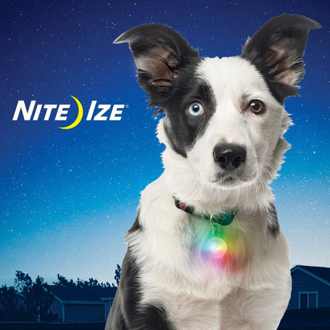 Nite Ize Nite Ize Spot Lit Disc-O Select LED Collar Light Dog Accessories