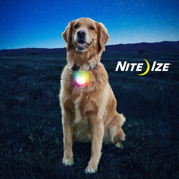 Nite Ize Nite Ize Spot Lit XL Disc-O Select Rechargeable LED Collar Light Dog Accessories