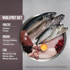 ORIJEN [33% OFF] ORIJEN Fit & Trim Cat Dry Food (2 Sizes) Cat Food & Treats