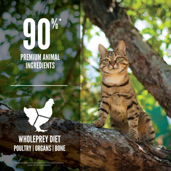 ORIJEN [33% OFF] ORJEN Guardian 8 Freeze-Dried Infused Dry Cat Food (2 Sizes) Cat Food & Treats
