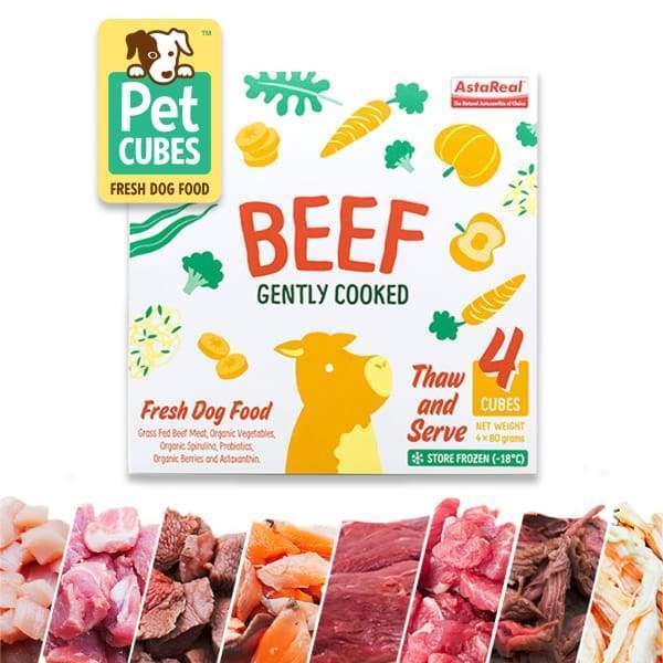 Pet Cubes [5% OFF + FREE BROTH*] Pet Cubes Complete Gently Cooked Beef Frozen Dog Food 2.25kg Dog Food & Treats