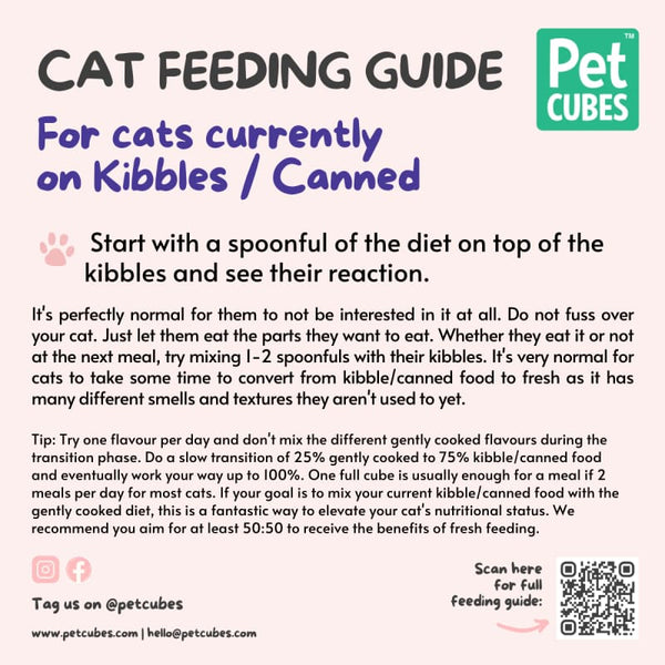 Pet Cubes [15% OFF TILL 15TH AUG] PetCubes Kangaroo & Fish Gently Cooked Frozen Cat Food 1.28kg Cat Food & Treats