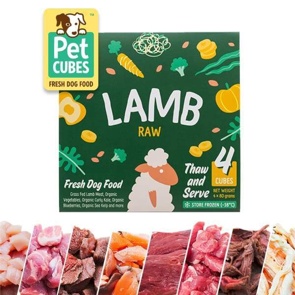 Pet Cubes [5% OFF + FREE BROTH*] Pet Cubes Lamb Frozen Raw Dog Food 2.25kg Dog Food & Treats