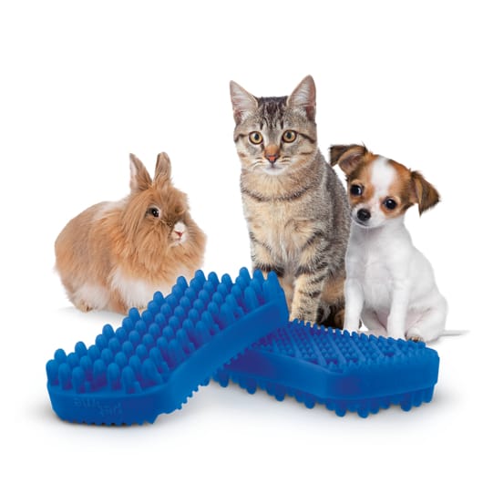 Pet + Me Pet + me Multi Functional Blue Grooming Brush Soft Silicone for Dog & Cat Dog Accessories