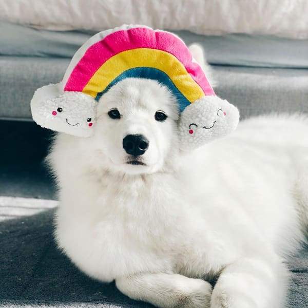 ZippyPaws [10% OFF] ZippyPaws Squeakie Pattiez Rainbow Dog Accessories