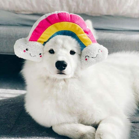 ZippyPaws [10% OFF] ZippyPaws Squeakie Pattiez Rainbow Dog Accessories