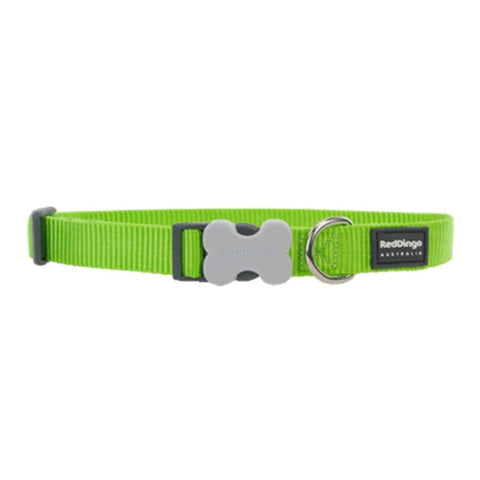 Red Dingo Red Dingo Bucklebone Classic Lime Green Dog Collar (4 Sizes) Dog Accessories