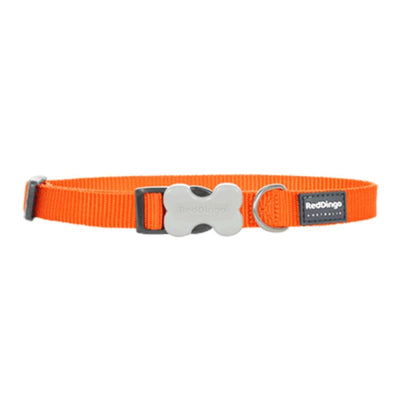 Red Dingo Red Dingo Bucklebone Classic Orange Dog Collar (4 Sizes) Dog Accessories